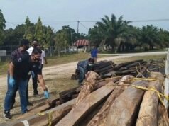 Di Aceh Singkil Petugas Bongkar Kasus Ilegal Loging Milik Napi