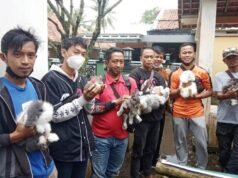 Geliat Masyarakat Desa Bojong Cilimus Dalam Kebangkitan Kreatif Ekonomi dan Wisata
