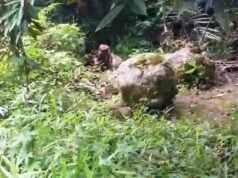 Kisah Legenda Kampung Cimeong dan Cambuk Sakti Yuda Manggala