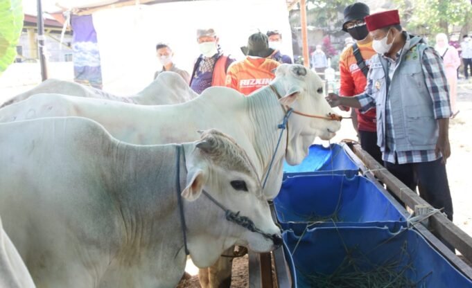 Sidak Jelang Idul Adha, Pak Uu Apresiasi Pasar Hewan Kurban di Cimahi