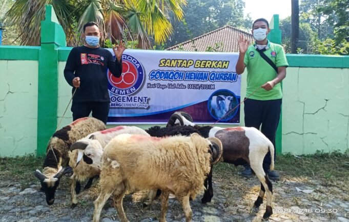 Bantu Masyarakat Saat Pandemi COVID-19, Indocement Bagikan 206 Hewan Kurban