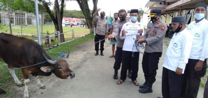 Masjid Arraiyah Desa Kampung Makia Kab. Halsel, Dapat Bantuan Hewan Qurban dari Polres Halsel