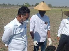 Respon Cepat Keluhan Petani, Bupati Gresik Kembali Menyapa Petani di Desa Gredek