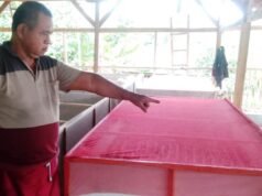 Pulihkan Ekonomi Saat Pandemi, Yosep Robet Geluti Budidaya Ternak Jangkrik