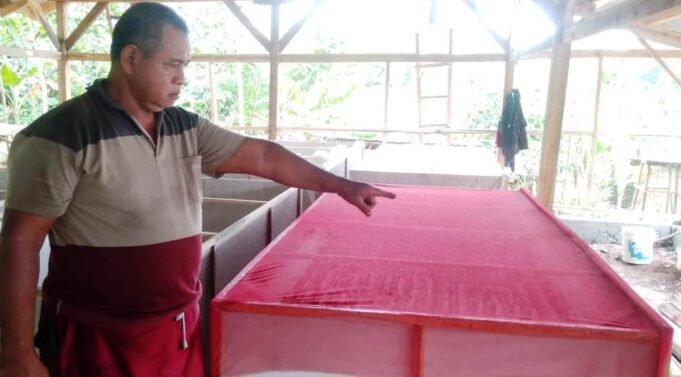 Pulihkan Ekonomi Saat Pandemi, Yosep Robet Geluti Budidaya Ternak Jangkrik