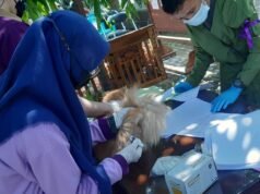 Cegah Penyebaran Rabies Hewan Peliharaan, Pemda Kabupaten Cirebon Gelar Penyuntikan Massal