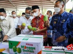 Kunker Menkop dan UKM ke Gresik, Dongkrak Ekspor Produk Pertanian Mangga ke Singapura