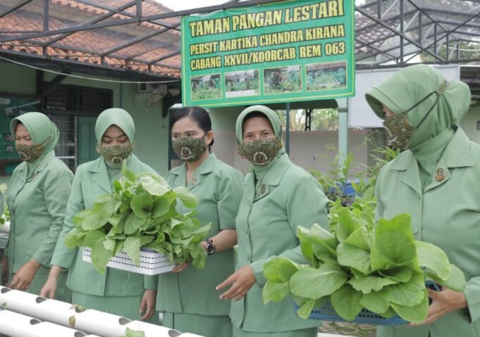Peduli Ketahanan Pangan, Persit KCK Cabang XXVII, Kodim 0616/Indramayu, Laksanakan Panen Sawi