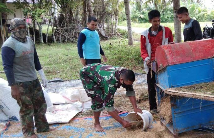 Selalu Hadir Untuk Meringankan Beban Warganya, Babinsa Bantu Petani Menggiling Padi