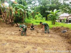 Babanisa Koramil 10/Lolowau Kodim 0213/Nias, Melaksanakan Pembersihan Lahan Demplot Koramil Lolowau