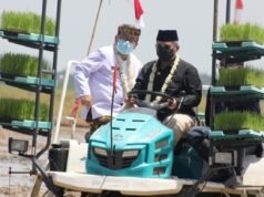 Bupati Cirebon Dampingi Menteri Pertanian Kunjungi Area Persawahan di Desa Guwa Lor