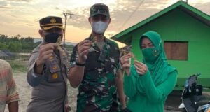 Dandim 0103/Aut Bersama Ketua Ketua Persit KCK Cabang XX Dim 0103, Panen Raya Udang Vaname