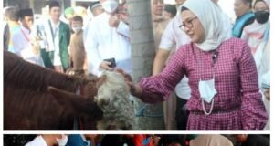 Bungkus Daging Qurban Milik Bupati Nina Gunakan Bahan Ramah Lingkungan