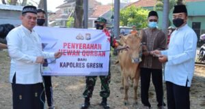 Polres Gresik Salurkan Hewan Kurban 11 Sapi dan 73 Kambing Idul Adha 1443 H