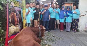 Relawan Erick Thohir Sembelih 2 Sapi Limosin Seberat 1,6 Ton di Pandegiling Surabaya
