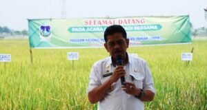 Panen Padi Bersama, Pj Wali Kota Tebing Tinggi Harap Dapat Menjaga Kestabilan Harga dan Stok Pangan