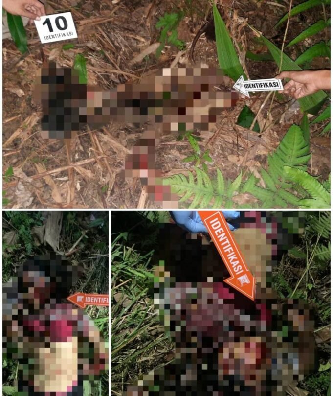 Penemuan Jenazah Seorang Wanita Diduga Korban Tindak Pidana Pembunuhan di Desa Togizita