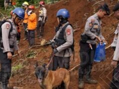 Tim Sar K9 Polda Jabar Terus Lakukan Pencarian dan Evakuasi Korban Gempa Cianjur