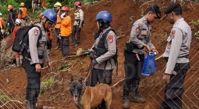 Tim Sar K9 Polda Jabar Terus Lakukan Pencarian dan Evakuasi Korban Gempa Cianjur