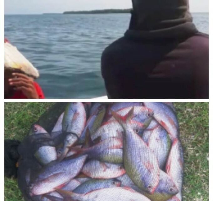 Tim Gabungan Pulau Tello Amankan Pelaku Destructive Fishing