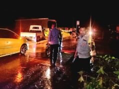 Akibat Angin Kencang, Karyawan PT. OSS Asal Konsel, Tewas Tertimpa Pohon Beringin