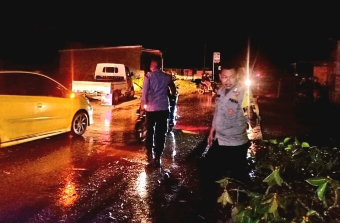 Akibat Angin Kencang, Karyawan PT. OSS Asal Konsel, Tewas Tertimpa Pohon Beringin