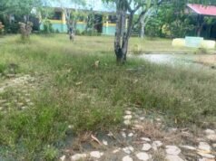 Enam Bulan Menjabat di SMP Negeri 7 Tanjungbalai, KS Ciptakan Sekolah Favorit Menjadi Sekolah Kumuh