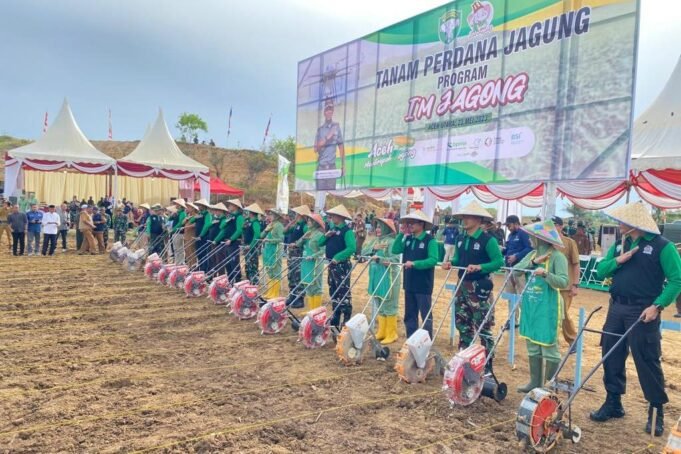 Peluncuran Program I’M Jagong oleh Pangdam Iskandar Muda Sekaligus Tanam Perdana Jagung Serentak se Aceh