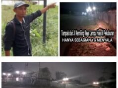 DLH Tuba Diapresiasi Gerak Cepatnya Nyalakan Lampu Hias 6 dari 12, Tidak Maksimal Akan di Pertanyakan