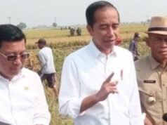Meski Cuaca Elnino Melanda Negri, Presiden Jokowi Bangga Panen Raya di Subang