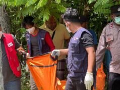 Mayat Laki-Laki Ditemukan di Kebun, Diduga Jatuh Dari Pohon Kelapa