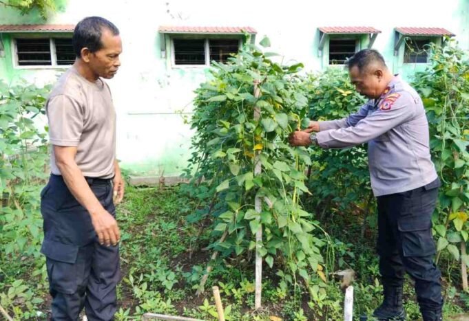 Memanfaatkan Lahan Kosong Tak Terpakai Menjadi Lahan Produktif dan Bermanfaat Bagi Masyarakat