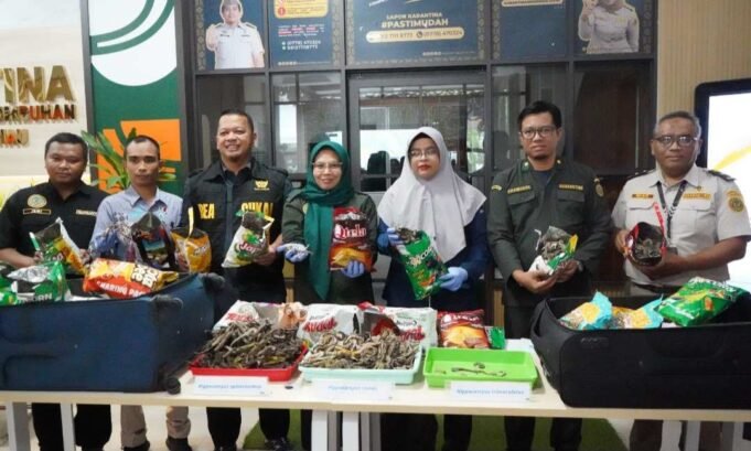 Lindungi Biota Laut, Karantina Kepri Bersinergi Amankan Kuda Laut Kering