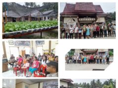 Panen Perdana Hidroponik: Kolaborasi UNIRAYA dan Desa Baruyu Lasara Wujudkan Ketahanan Pangan Lokal