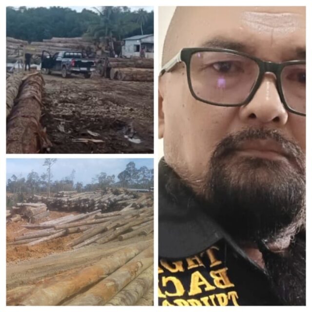 Desakan Pencabutan Izin PT Gruti dan PT Nauli Menguat di Nias Selatan Dinilai Rusak Lingkungan dan Abaikan Reboisasi