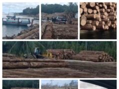 Kaca Benggala Bencana: Masyarakat Kepulauan Batu Desak Evaluasi Izin HPH PT. GRUTI dan PT. Teluk Nauli