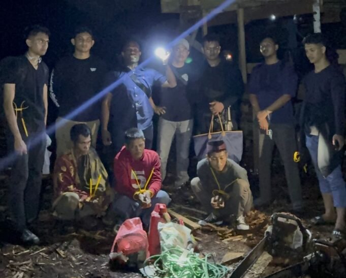 Tiga Orang Pelaku Ilegal Logging Diamankan Polisi