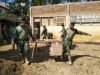 TNI AD Turun Langsung, Sekolah Terendam Lumpur di Tanah Jambo Aye Mulai Bangkit