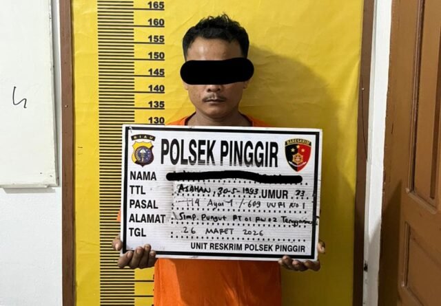 Pengembangan Kilat, Polsek Pinggir Bongkar Peredaran Sabu 4,67 Gram Satu Pelaku Diamankan, Pemasok Diburu