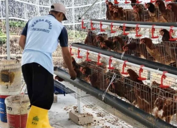 b6985cfc-d391-4b3a-a272-b3164d050433-581x420