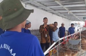 Warga Binaan Lapas Indramayu Diajari Kelola Usaha Ayam Petelur