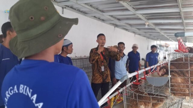 Warga Binaan Lapas Indramayu Diajari Kelola Usaha Ayam Petelur
