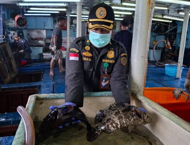 Ekspor Ikan Natuna Tembus 1,2 Miliar Rupiah, Karantina Kepri