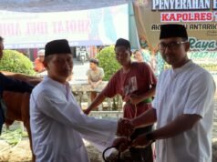 Peringati Hari Raya Idul Adha 1447 H, Polres Tegal Kota Salurkan Puluhan Hewan Kurban