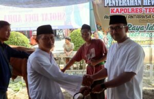 Peringati Hari Raya Idul Adha 1447 H, Polres Tegal Kota Salurkan Puluhan Hewan Kurban