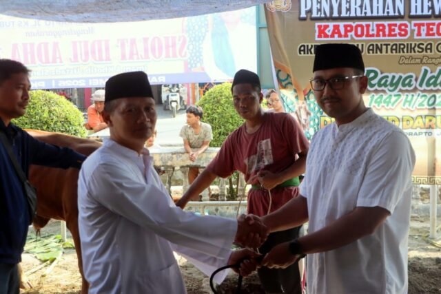 Peringati Hari Raya Idul Adha 1447 H, Polres Tegal Kota Salurkan Puluhan Hewan Kurban