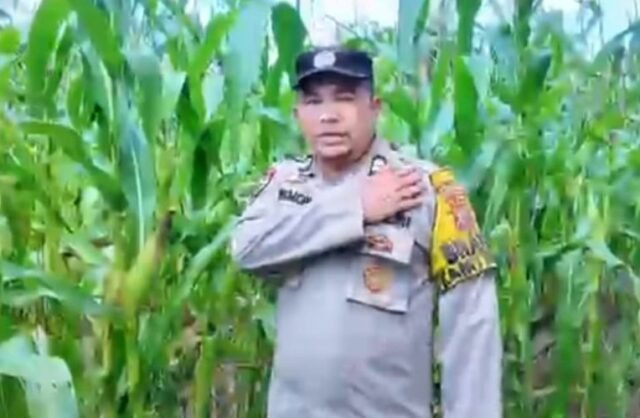 Polsek Mandau Pantau Persiapkan Panen Raya Jagung Pipil di Desa Harapan Baru
