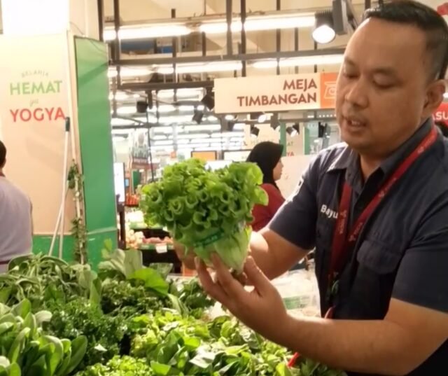 Yogya Toserba Akui Sayuran Hidroponik Lapas Indramayu Penuhi Standar Supermarket