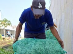 Optimalkan Lahan Produktif, Lapas Indramayu Hasilkan Puluhan Kilogram Kangkung Setiap Minggu