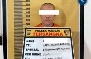 Polsek Mandau Tangkap Pria Penganiaya Pacar di Air Kulim, Diamankan 20 Jam Setelah Laporan